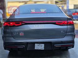 بي واي دي كوين L DM-i